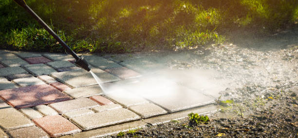 Best Gutter Cleaning  in Hamton, IL